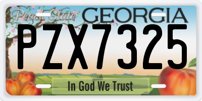 GA license plate PZX7325
