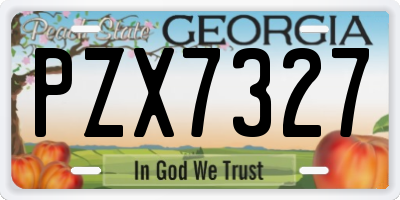GA license plate PZX7327