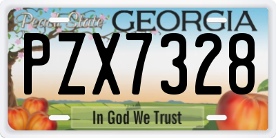 GA license plate PZX7328