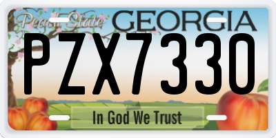 GA license plate PZX7330