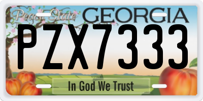 GA license plate PZX7333