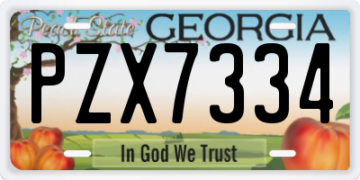GA license plate PZX7334