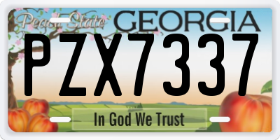 GA license plate PZX7337