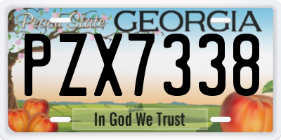 GA license plate PZX7338