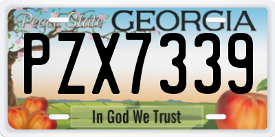 GA license plate PZX7339