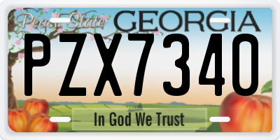 GA license plate PZX7340