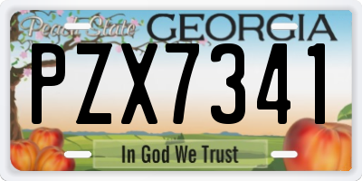 GA license plate PZX7341