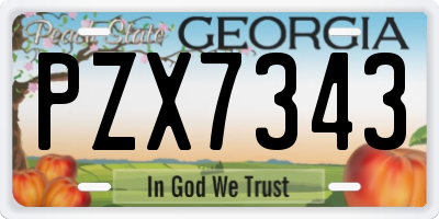GA license plate PZX7343