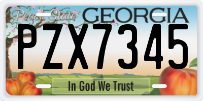 GA license plate PZX7345