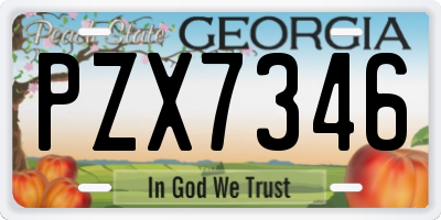 GA license plate PZX7346