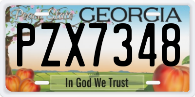 GA license plate PZX7348