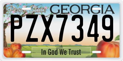 GA license plate PZX7349