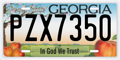 GA license plate PZX7350