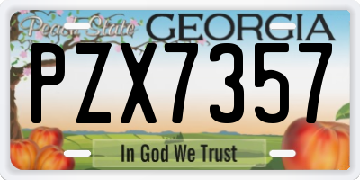 GA license plate PZX7357