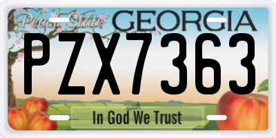 GA license plate PZX7363