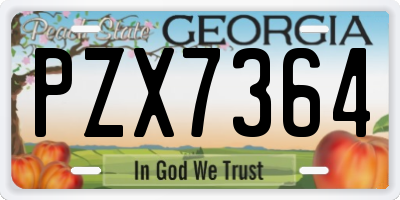 GA license plate PZX7364