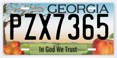 GA license plate PZX7365