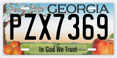 GA license plate PZX7369