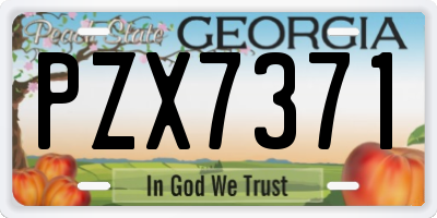 GA license plate PZX7371