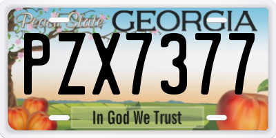 GA license plate PZX7377