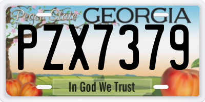 GA license plate PZX7379