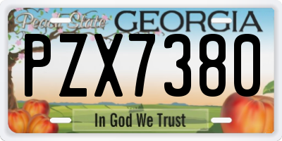 GA license plate PZX7380