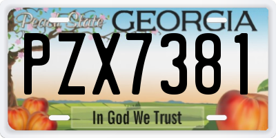 GA license plate PZX7381