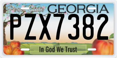 GA license plate PZX7382
