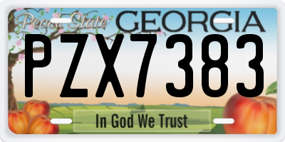 GA license plate PZX7383