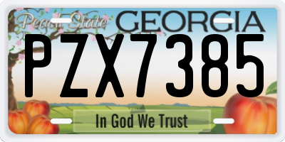 GA license plate PZX7385