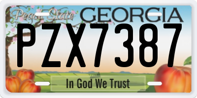 GA license plate PZX7387