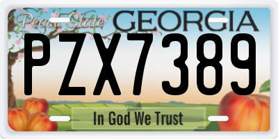 GA license plate PZX7389