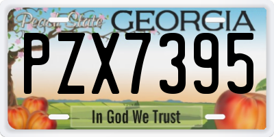 GA license plate PZX7395