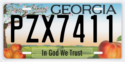 GA license plate PZX7411