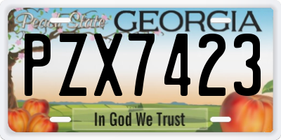 GA license plate PZX7423