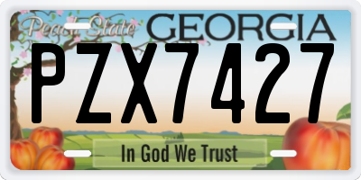 GA license plate PZX7427