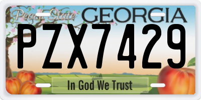 GA license plate PZX7429