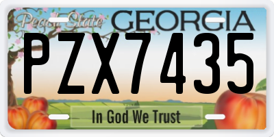 GA license plate PZX7435