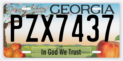 GA license plate PZX7437