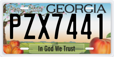GA license plate PZX7441