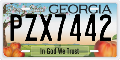 GA license plate PZX7442