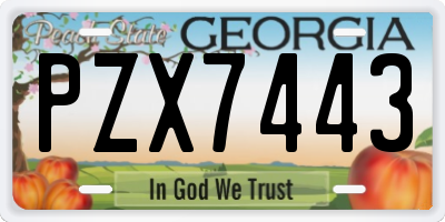 GA license plate PZX7443