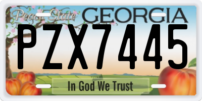 GA license plate PZX7445