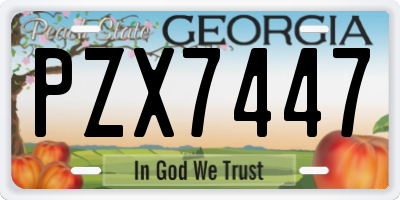 GA license plate PZX7447
