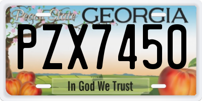 GA license plate PZX7450