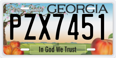 GA license plate PZX7451