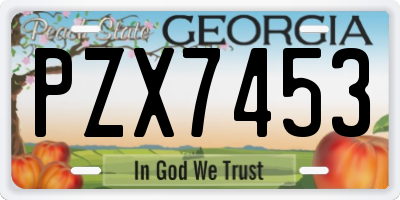 GA license plate PZX7453