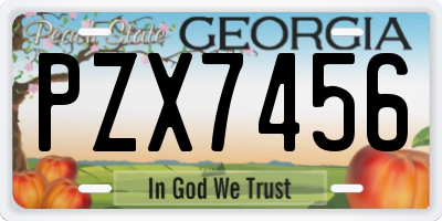 GA license plate PZX7456