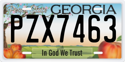GA license plate PZX7463