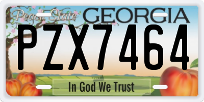 GA license plate PZX7464